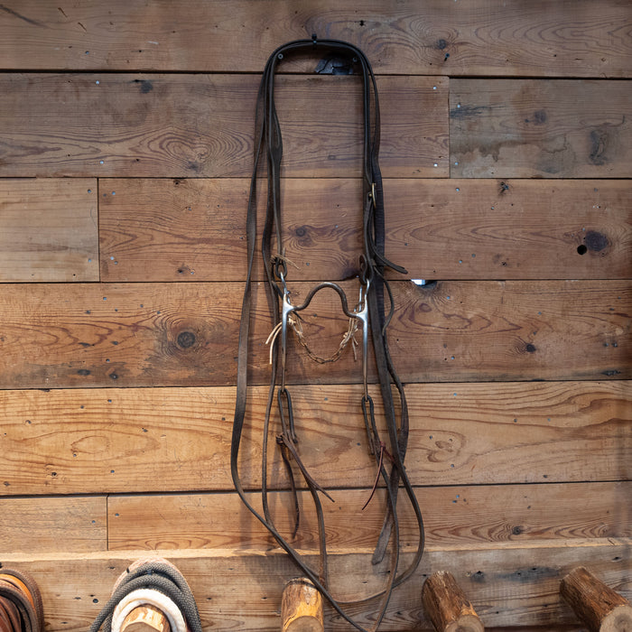 Solid Port Bit Bridle Rig
