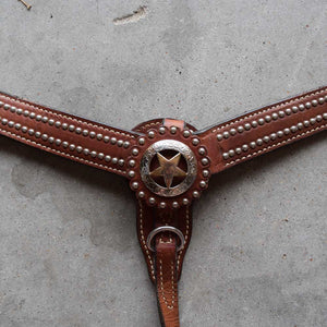 Lightly Used Breast Collar Sale Barn Teskeys   