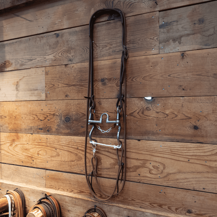 Flaharty Calvary Correction Bridle Rig
