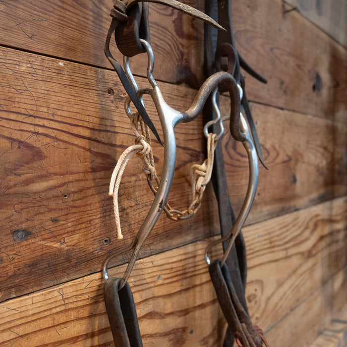 Solid Port Bit Bridle Rig