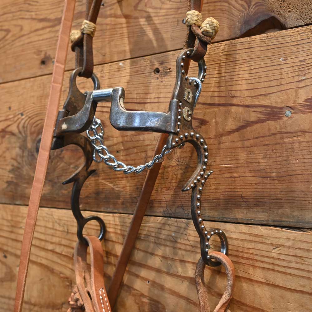 Bridle Rig  - Gordy Alderson Hinge Port with Flat Bars Bit RIG827