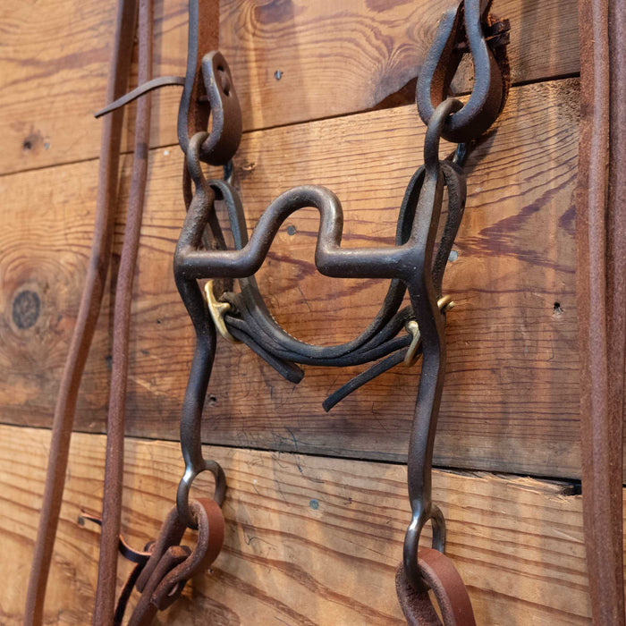 Daryl Davis Port Bridle Rig Tack - Rigs Daryl Davis