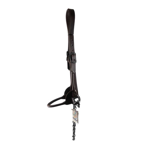 New Weaver Brown Bobmshell Show Halter Sale Barn Weaver   