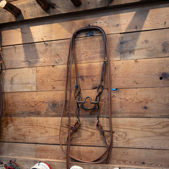 Daryl Davis Port Bridle Rig Tack - Rigs Daryl Davis