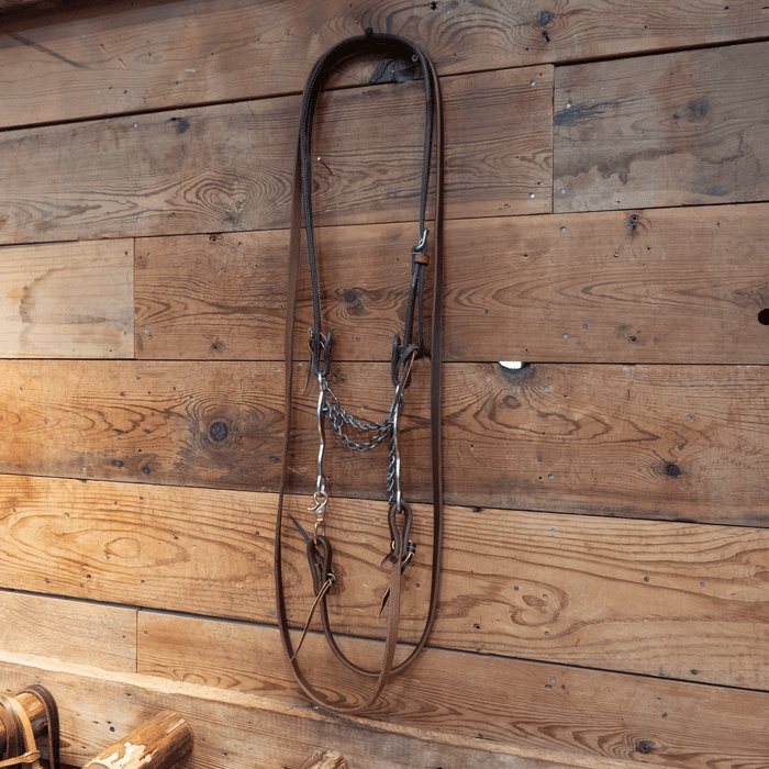 Mike Beers Reinsman Chain Bit Bridle Rig