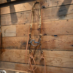 Bridle Rig  - Gordy Alderson Hinge Port with Flat Bars Bit RIG827