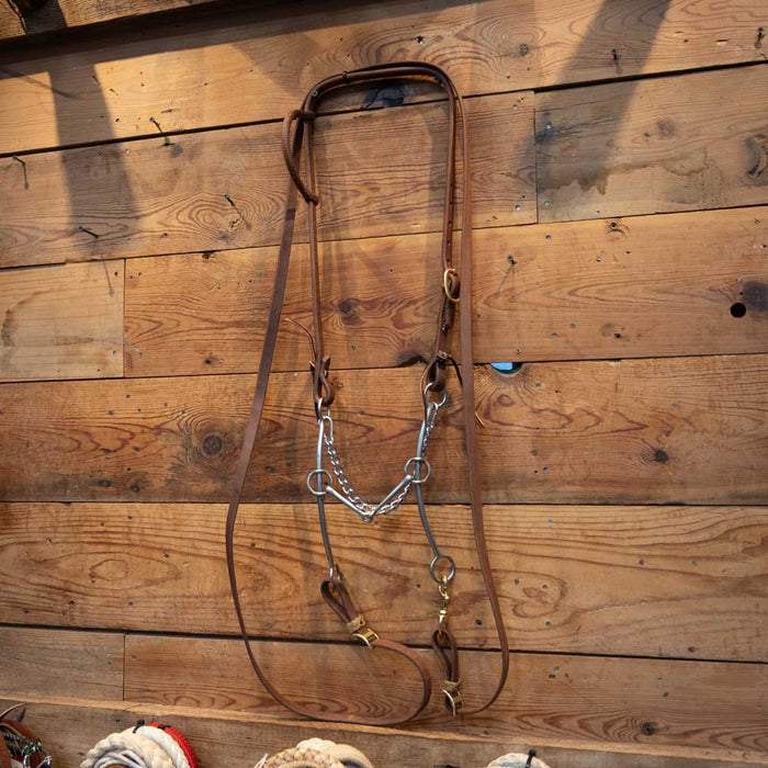 Carol Goosetree 2pc Sliding Gag Bridle Rig