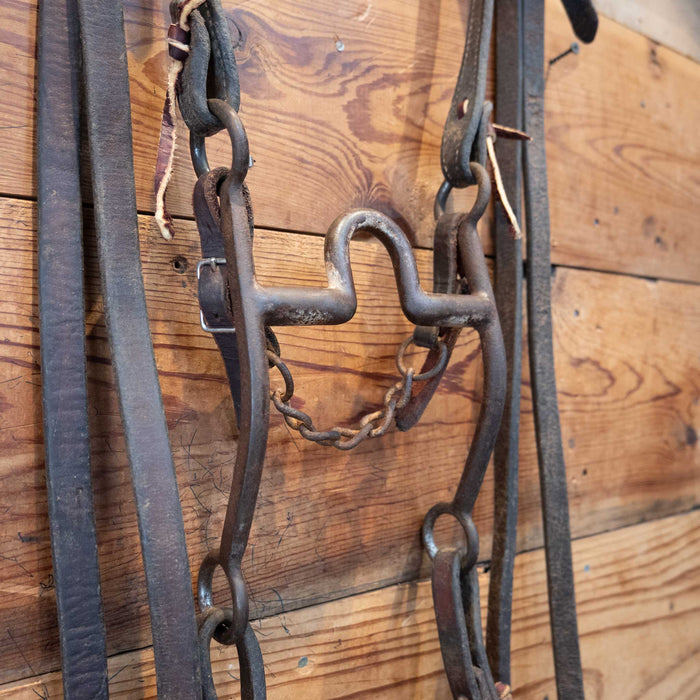 Daryl Davis Port Bridle Rig Tack - Rigs Daryl Davis