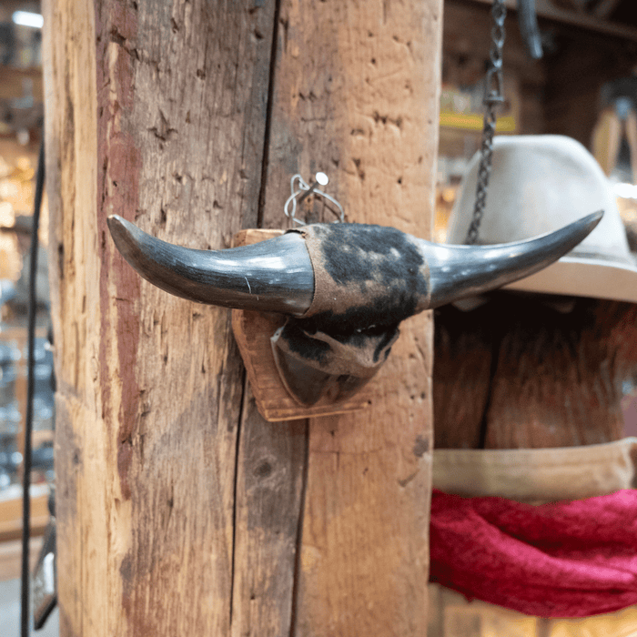 Vintage Hook & Horn Wall Hanging Collectibles Mis