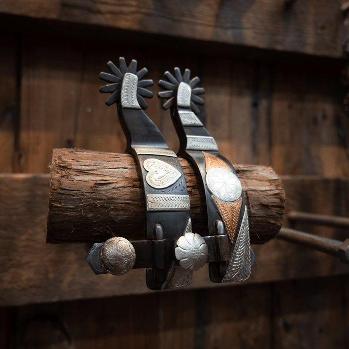 Tom Whitacre 12pt Spurs