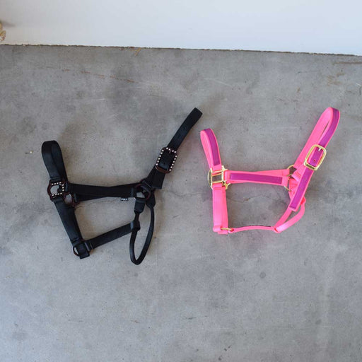 Like New Halters Set Of 2 Sale Barn Sale Barn