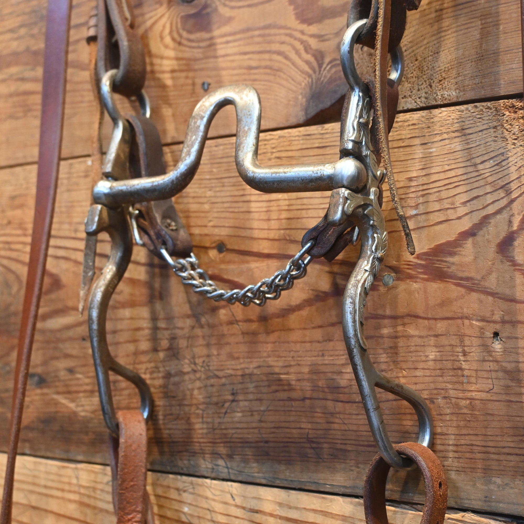 Kerry Kelley LF Mounted w/Scribner Buckle Bridle Rig