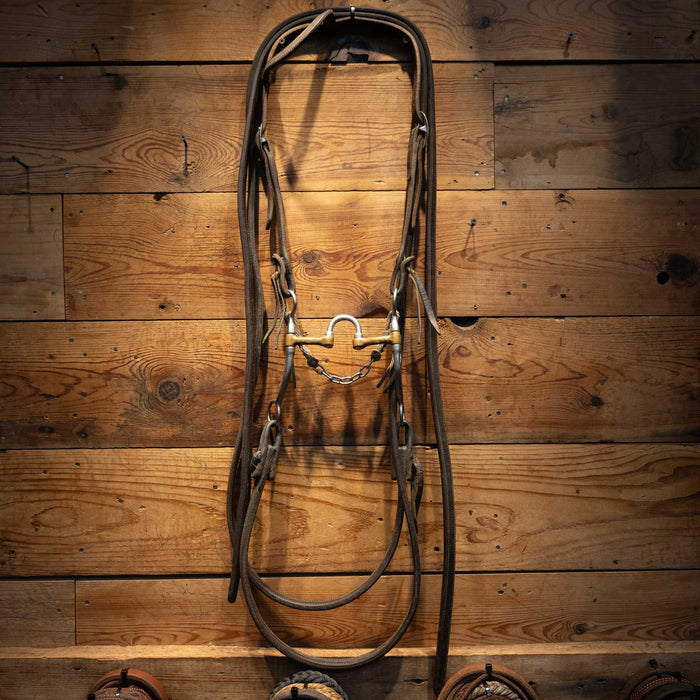 Correction w/ Brass Bars Bridle Rig