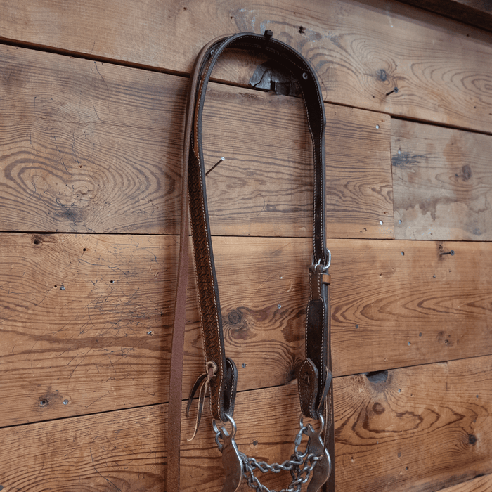 Mike Beers Reinsman Chain Bit Bridle Rig