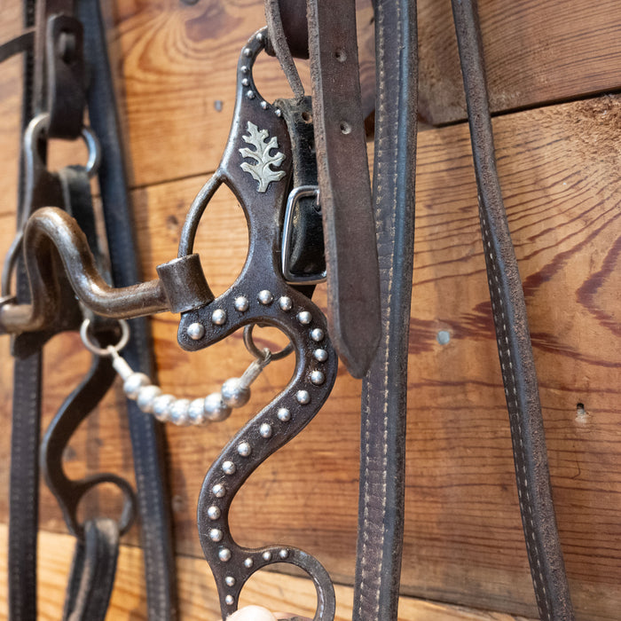 Gordy Alderson Silver Mounted Port Bridle Rig