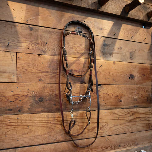 Argentine Smooth 2 Piece Bridle Rig Tack - Rigs misc