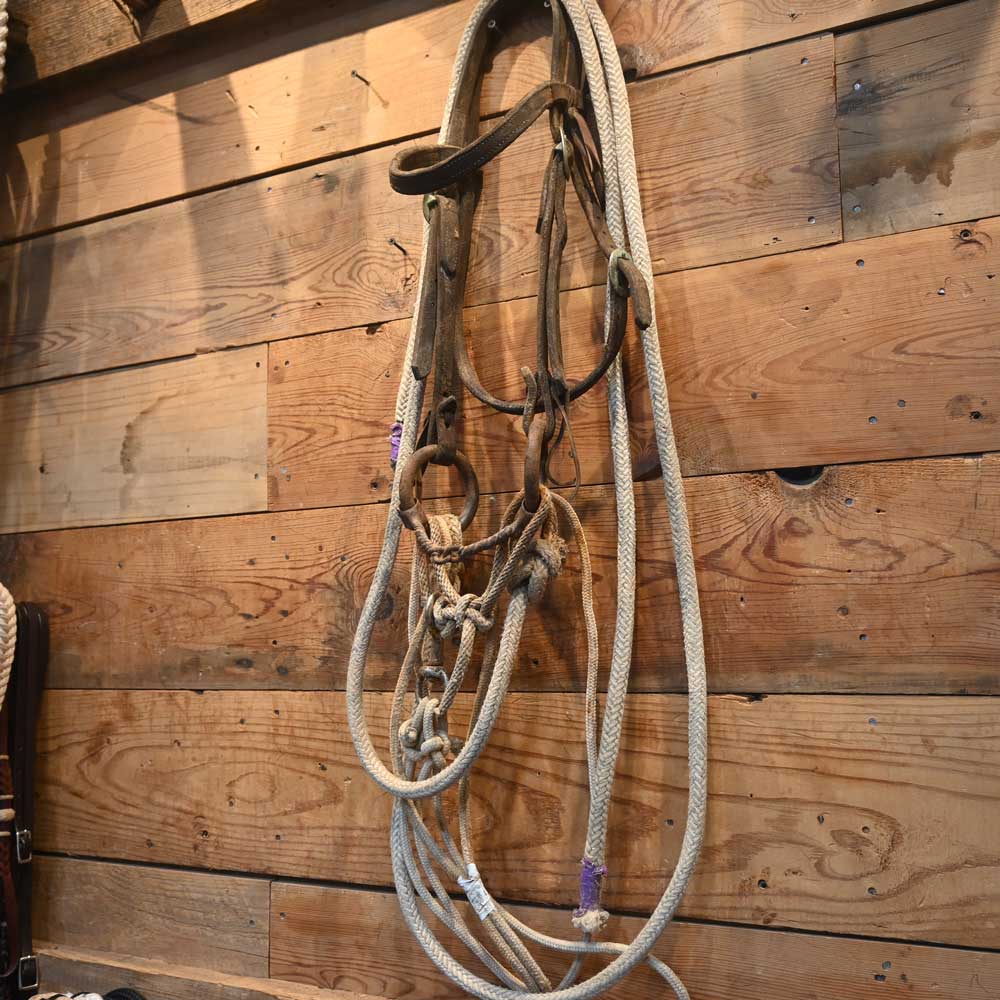 Bridle Rig - O-Ring with a Martingale Set-up  SBR378 Tack - Rigs MISC   