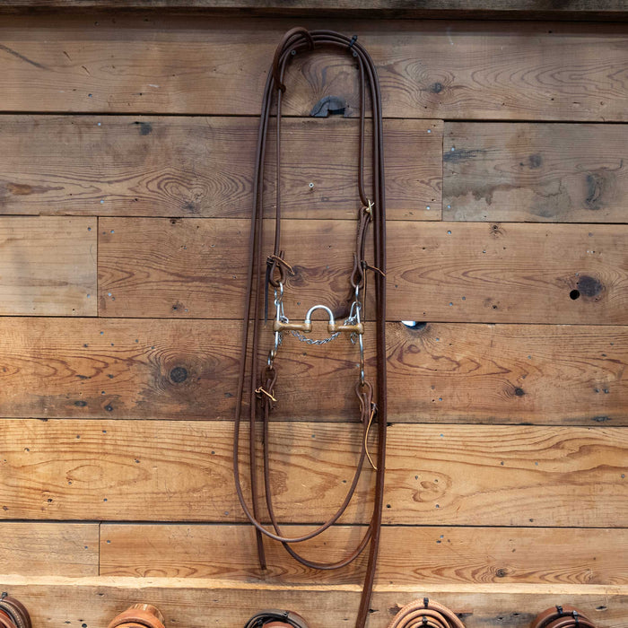 Correction w/Brass Bars Bridle Rig