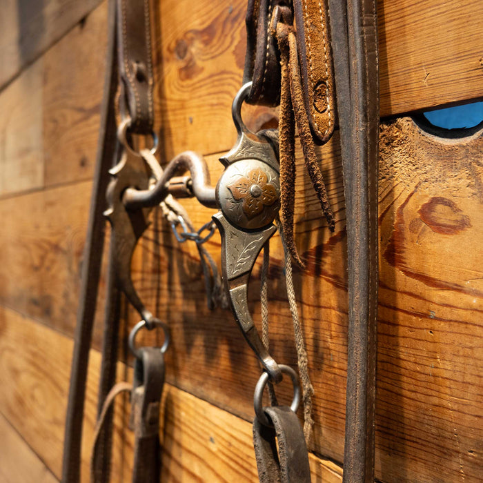 Danny Pollard Solid Port Bridle Rig