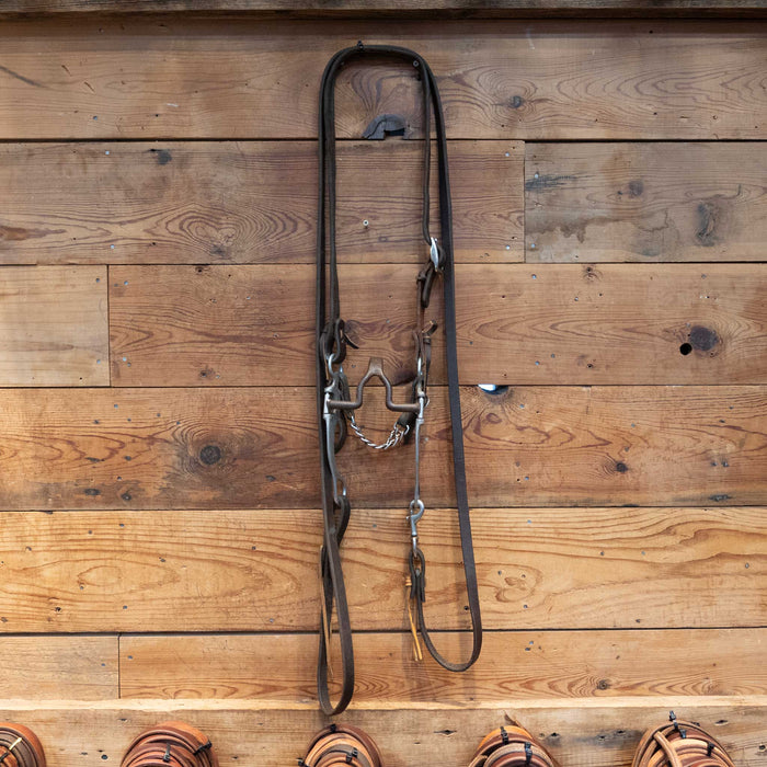 Cathedral Bridle Rig