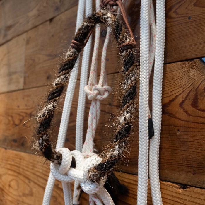 Sam Hall Loping Hack w/ Crowsfoot Headstall