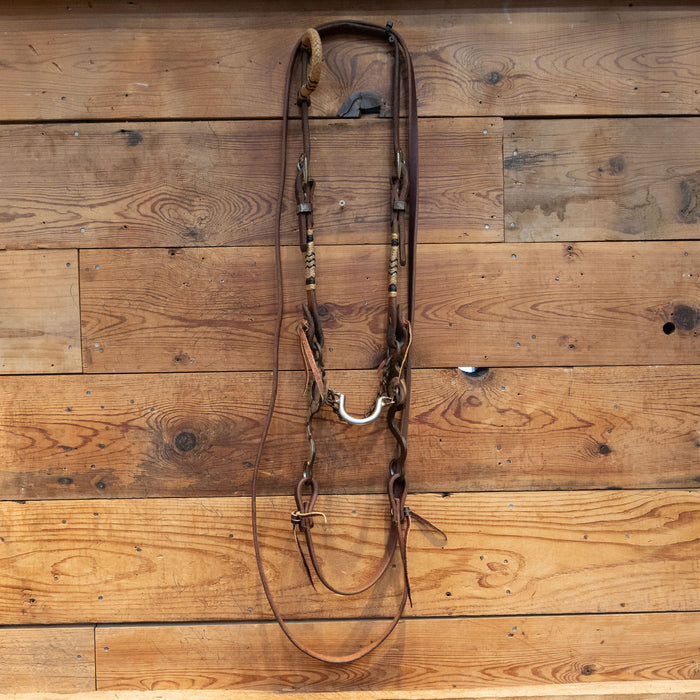 Blessing Ported Chain Bridle Rig