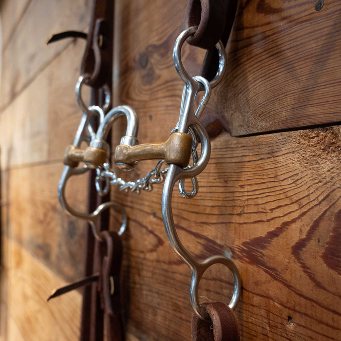 Correction w/Brass Bars Bridle Rig