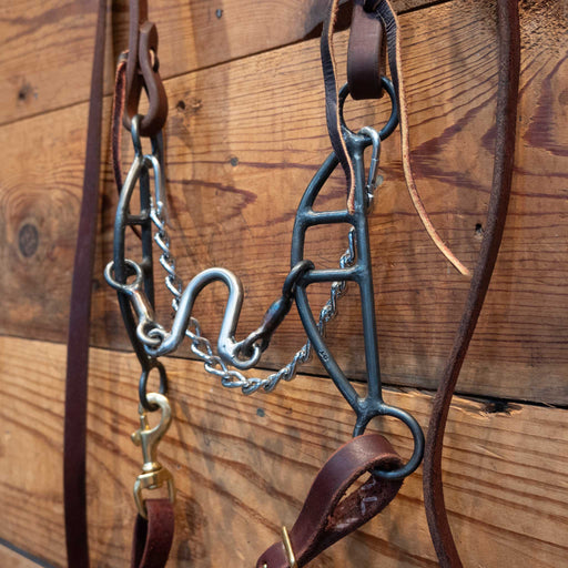 Rod Teuscher Loose Ported Gag Bridle Rig Tack - Rigs Rod Teuscher