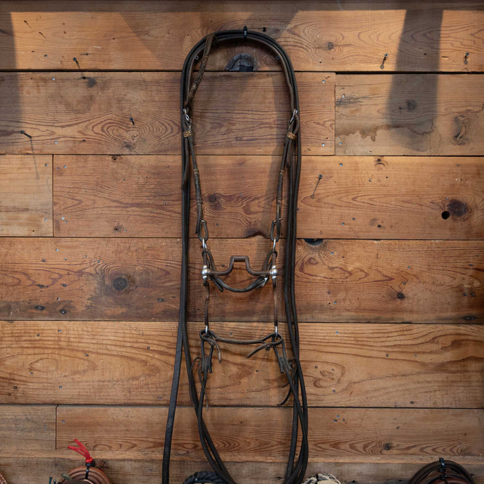 Tom Balding Hinge Port Bridle Rig