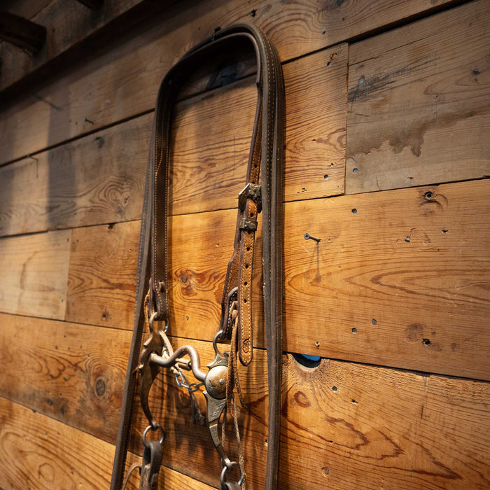 Danny Pollard Solid Port Bridle Rig