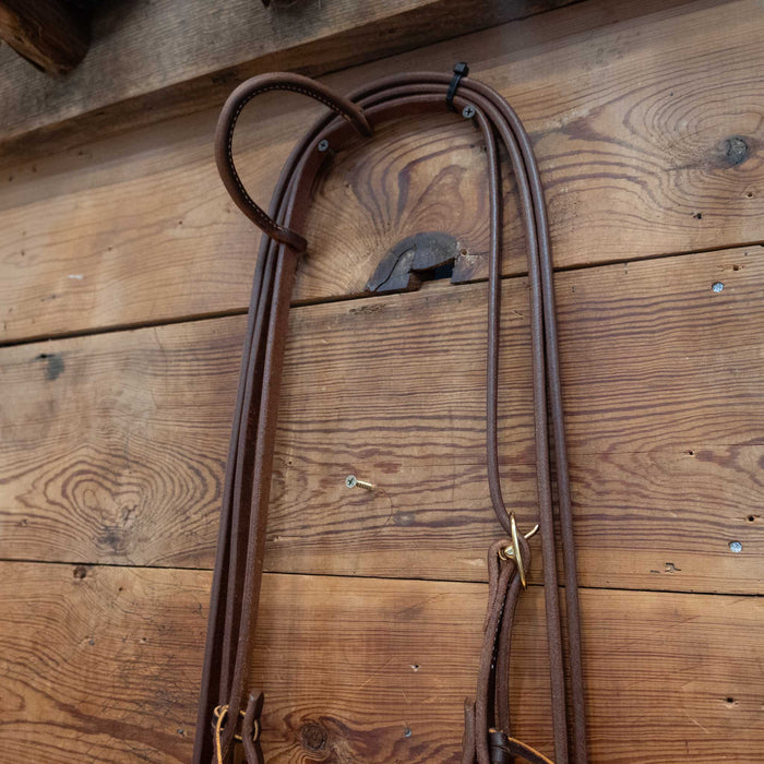 Correction w/Brass Bars Bridle Rig