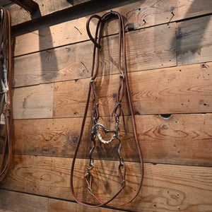 Bridle Rig - Blessing Chain Port RIG860 Tack - Rigs Blessings