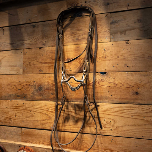 Solid Port Bridle Rig Sale Barn MISC