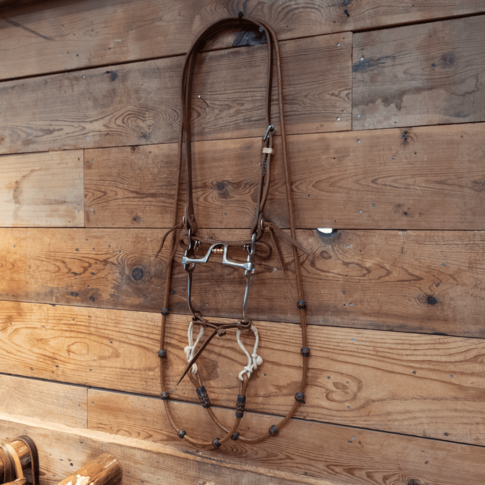 Les Vogt Port w/Roller Bit Bridle Rig