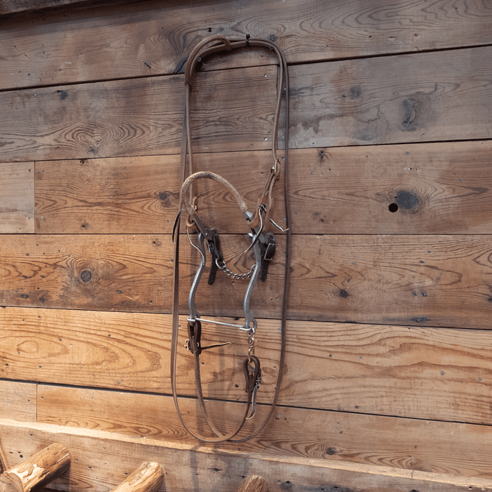 Hackamore Bridle Rig