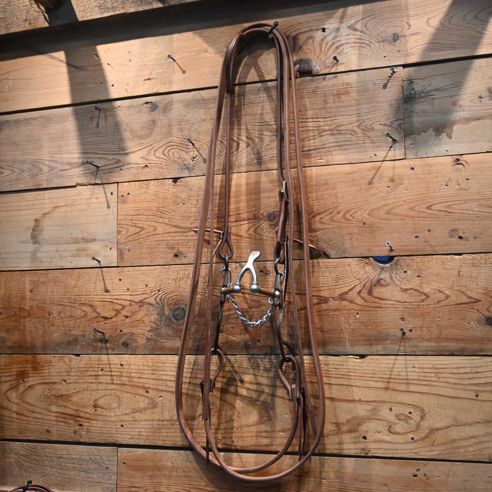 Kerry Kelley 02S Cathedral Bridle Rig Tack - Rigs Kerry Kelley