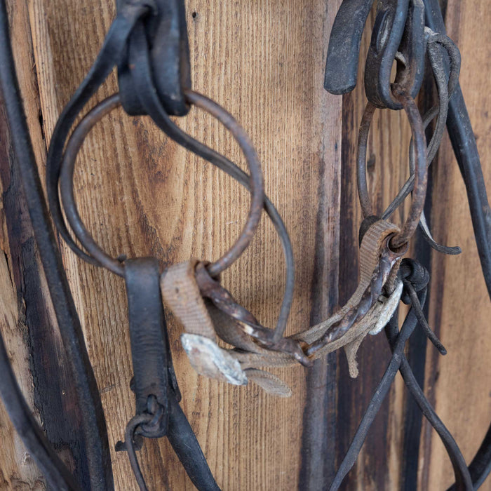 Slow Twist O-Ring Bridle Rig Sale Barn MISC