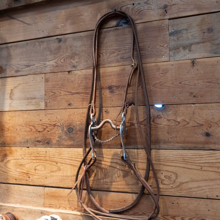 Grazing Copper Port Bridle Rig