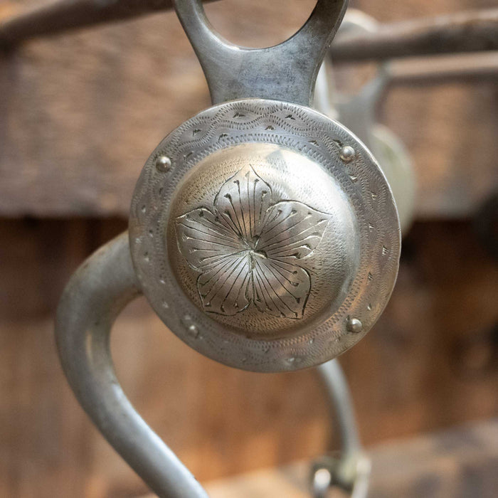 Star Steer Silver Cathedral Bit