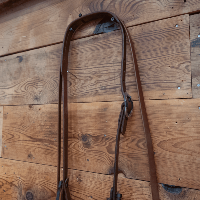 Flaharty Calvary Hexagon Lifesaver Bridle Rig