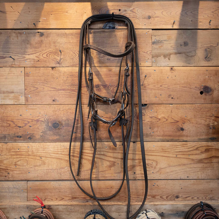 Matt Humphries D-Ring Bridle Rig