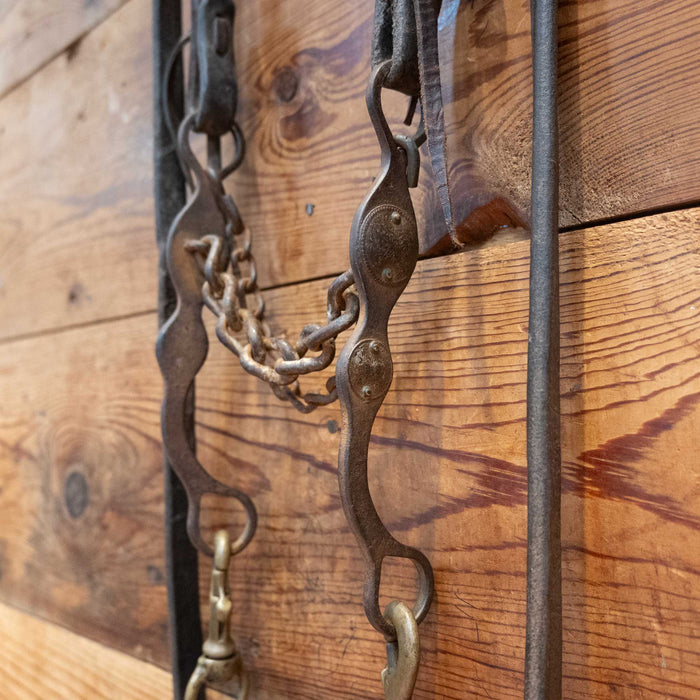 Petska Chain Bridle Rig