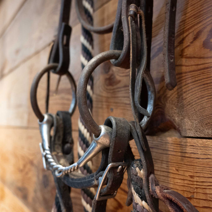 O-Ring Twisted Wire Snaffle Bridle Rig