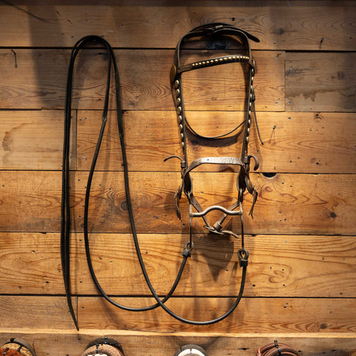 Vintage Horse Bridle Rig with Silver Nickel Dots Tack - Rigs MISC