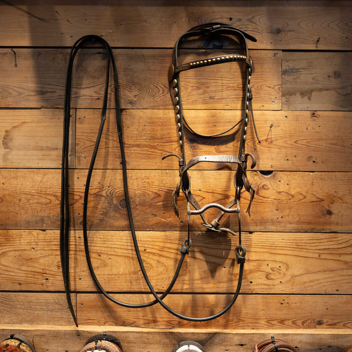 Vintage Horse Bridle Rig with Silver Nickel Dots Tack - Rigs MISC