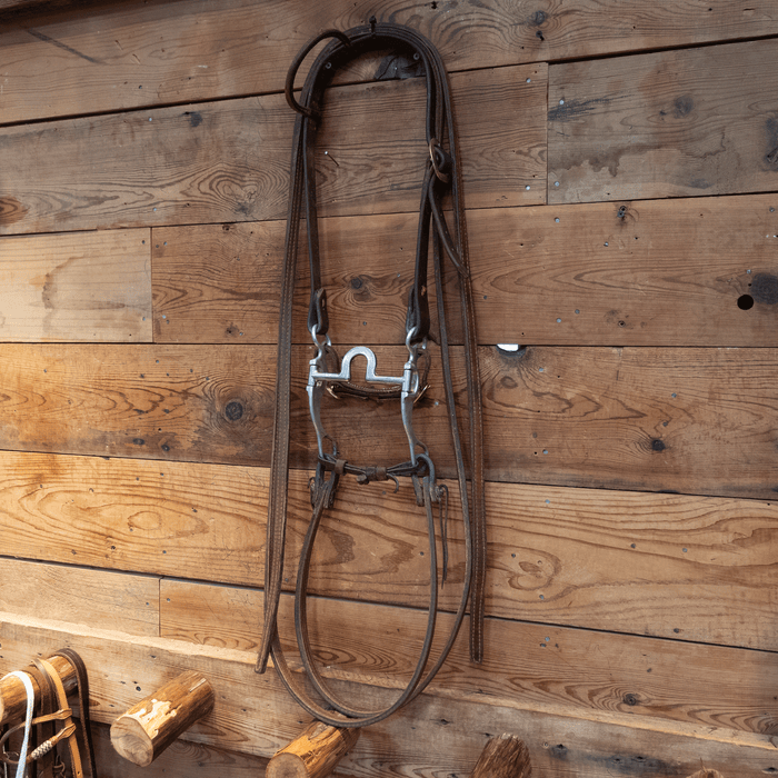 Bill Freeman Mushroom Port Bit Bridle Rig