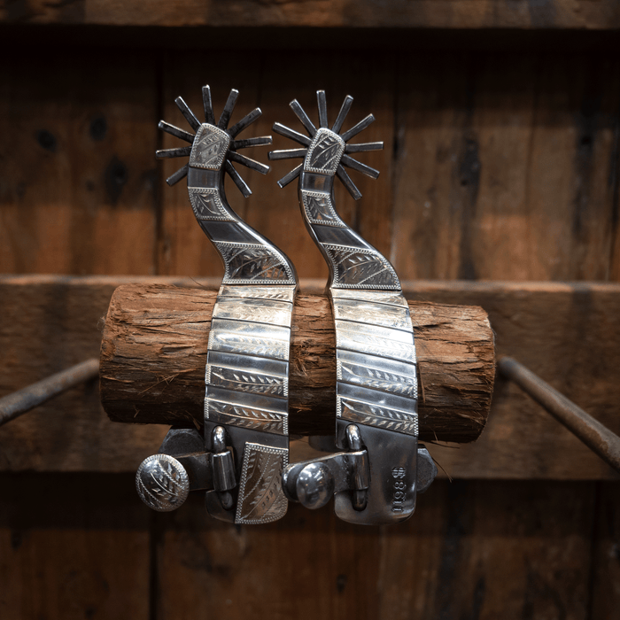 Wayne Dollar Silver Mounted 12pt Spurs