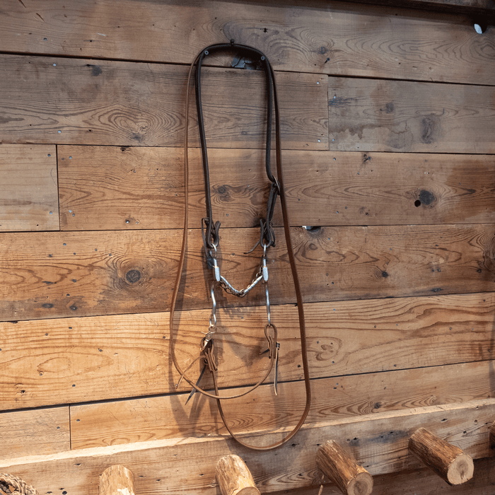 Threaded Snaffle Bit Bridle Rig