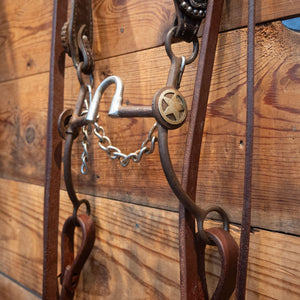 Correction Bit with Silver Concho Star Bridle Rig