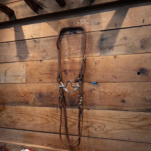 Kerry Kelley Solid Port Bridle Rig Tack - Rigs Kerry Kelley